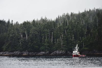 Sailboats by trees in forest against sky