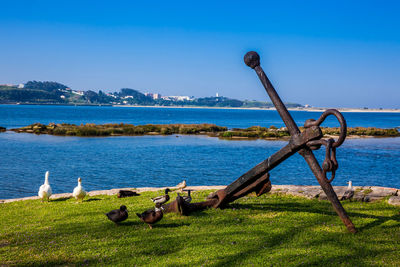Antique anchor at the douro river banks near its mouth in porto city on a beautiful early spring day