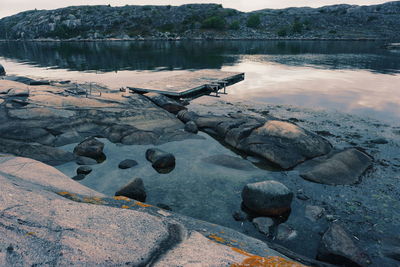 High angle view of driftwood in lake