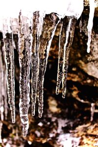 Close-up of ice crystals