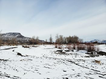 Scenic view of snow covered field against sky