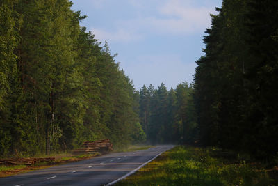 Country road amidst trees against sky