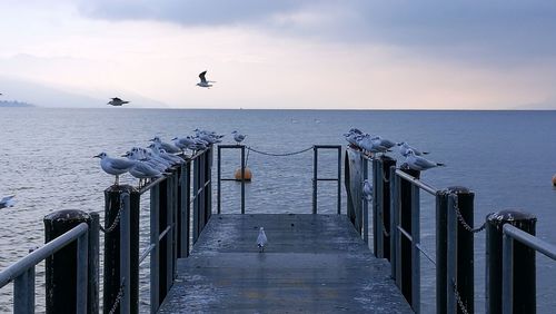 Pier on sea against sky