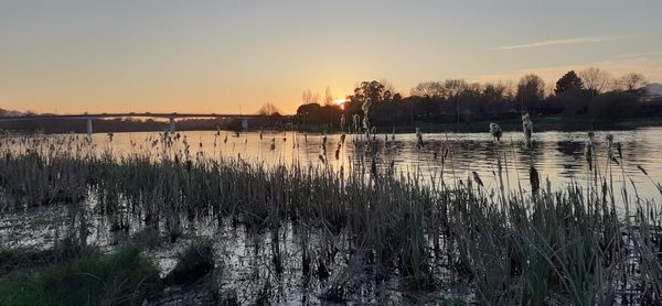 Scenic view of lake against sky during sunset