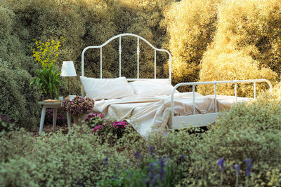 Empty chair by plants on field