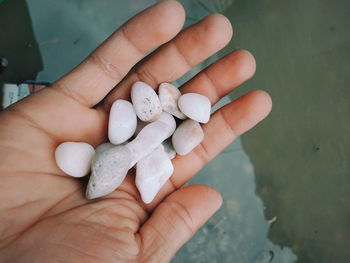 Close-up of hand holding white