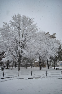 Trees on snow covered landscape against sky