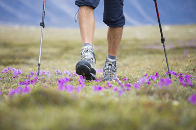 Low section of man on flowering plants