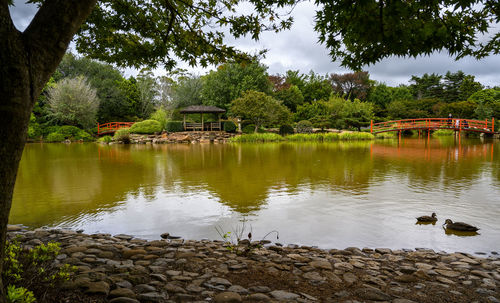 Scenic view of lake by trees against sky