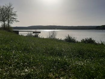 Scenic view of grassy field by lake against sky