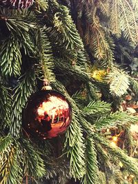 Close-up of illuminated lamp