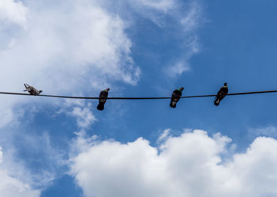 Low angle view of cables against blue sky