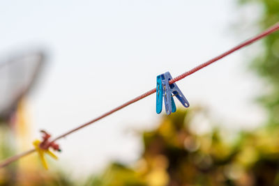 Close-up of clothespins on rope against sky