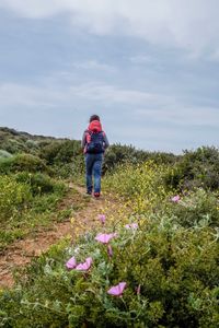 Rear view of man walking on flowers