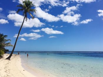 Scenic view of beach against blue sky