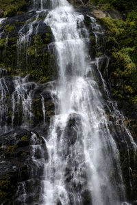 View of waterfall in forest