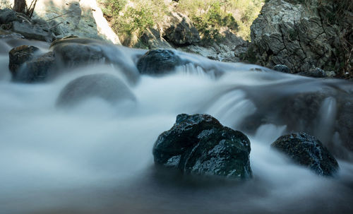 Scenic view of waterfall in forest