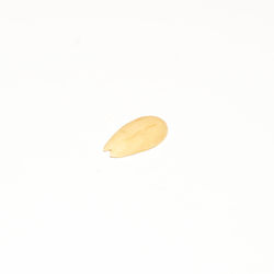 High angle view of fruits on white background