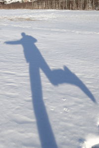 Shadow of person on snow covered landscape