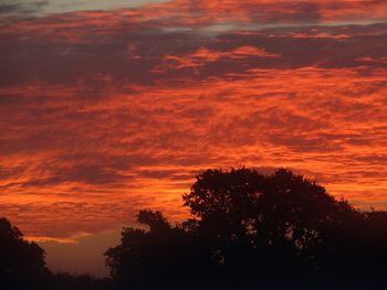 Low angle view of silhouette trees against dramatic sky