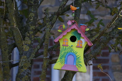 Close-up of birdhouse hanging on tree trunk