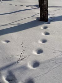 High angle view of footprints on snow