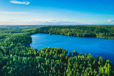 Aerial view of a blue lake and forest in finland