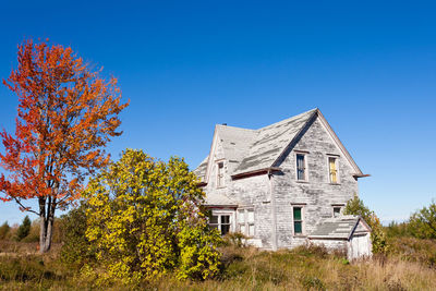 Trees and houses on field against clear blue sky