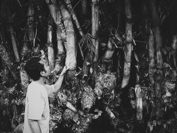 Full length of woman standing by trees in forest