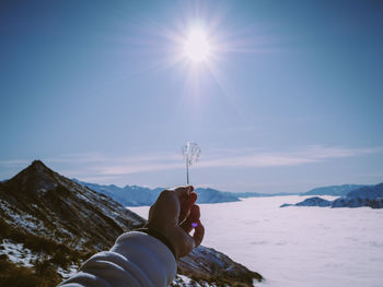 Holding grass on snowcapped mountain against sky