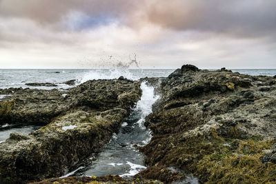 Rocks on sea shore against sky