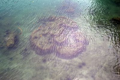 High angle view of raindrops in sea