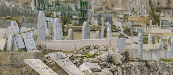 Plants growing on rocks at cemetery