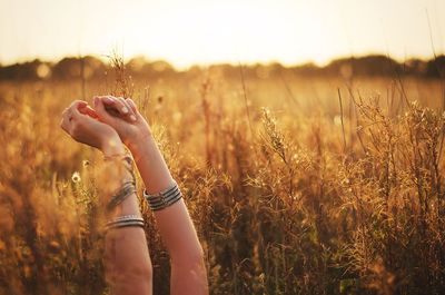 Cropped image of woman with arms raised amidst plants on field