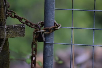 Close-up of padlock on metal gate