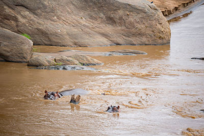 High angle view of people on rocks at shore