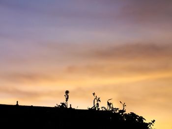 Low angle view of silhouette trees against sky during sunset