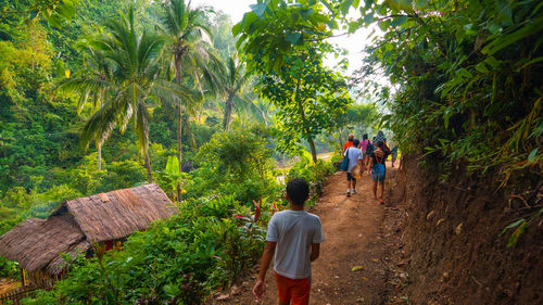 Rear view of people walking in forest