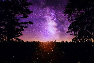 Low angle view of trees at night
