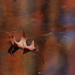 Close-up of built structure