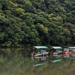 Scenic view of lake against trees