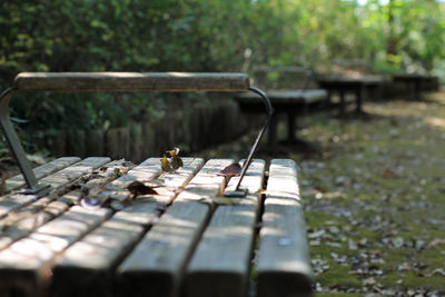 Close-up of wooden table in park