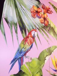 Close-up of parrot perching on plant