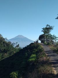 Scenic view of trees and mountains against clear sky