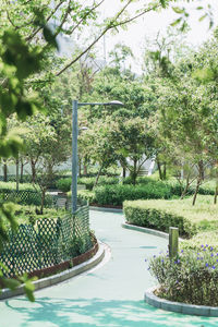 View of swimming pool in garden