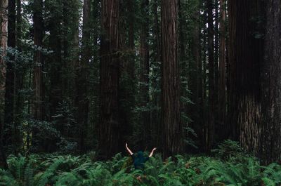 Mid section of boy hiding behind christmas tree