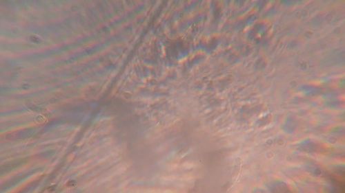 Full frame shot of sun