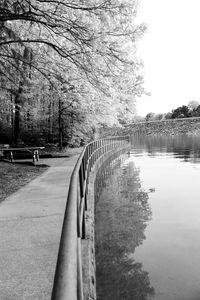 Empty road along trees