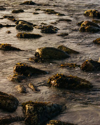 High angle view of rocks in sea