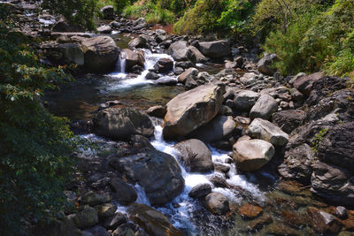 Stream flowing through rocks in forest